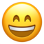 :smile: 😄